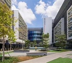 福州留学必看：新加坡留学打工政策及注意要点